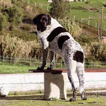 Casa Luisa Casquinha Διαμέρισμα Vila Franca de Xira
